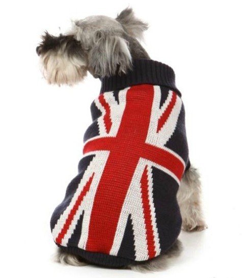 Pet accessories dog apparel british flat pattern sweater fashionable hot pet dog clothes 