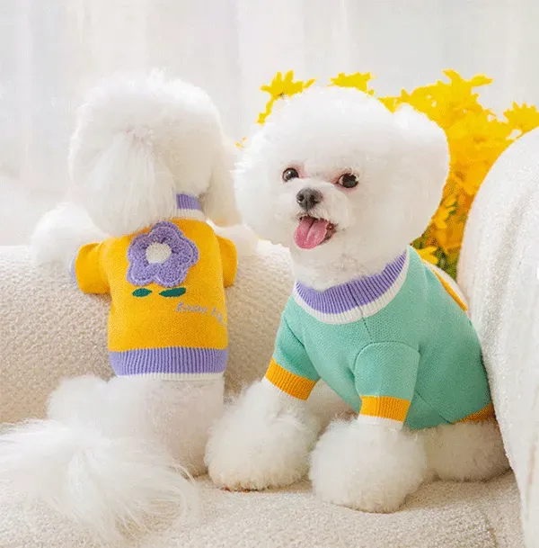 1:1 Match Human and Pet Oversized Knitwear Sets