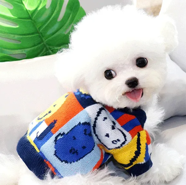 Custom Intarsia Logo Pet Sweater