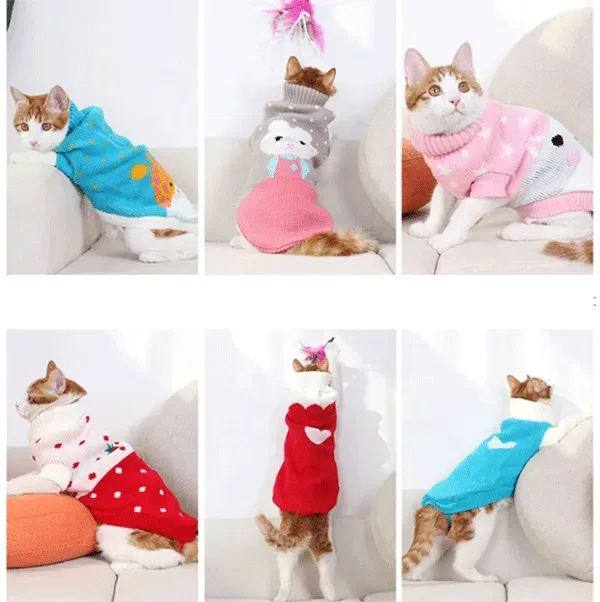 Custom Pet Matching Wear